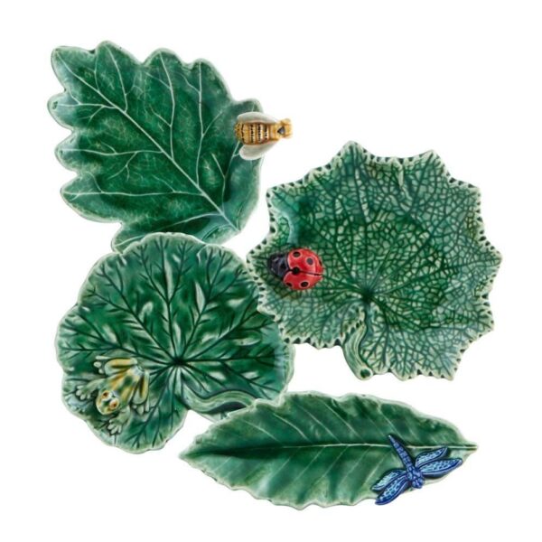 Vassoio Senecio con Coccinella e altri vassioi