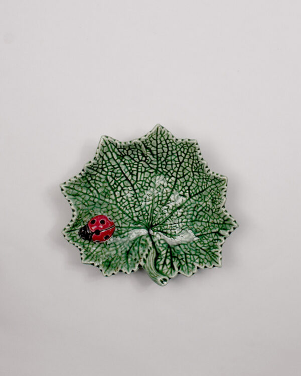 Vassoio Senecio con Coccinella 14 cm