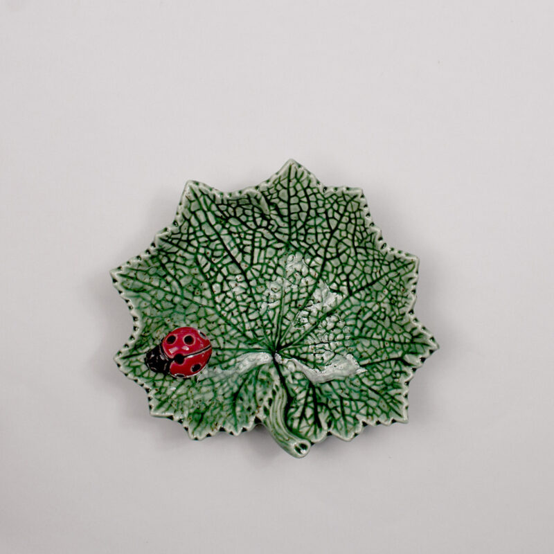Vassoio Senecio con Coccinella 14 cm